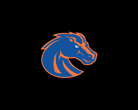 Boise State Broncos