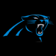 Carolina Panthers